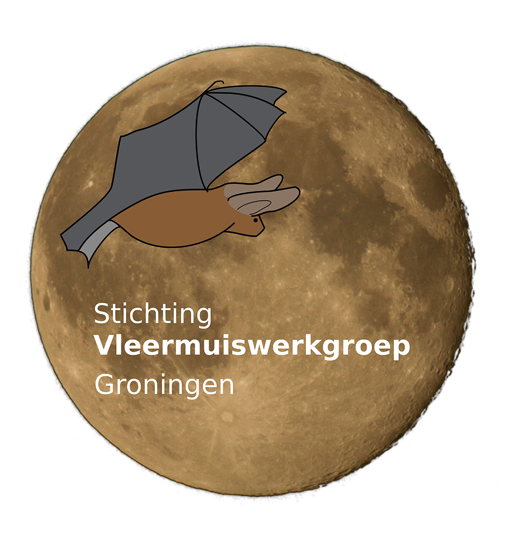 Vleermuiswerkgroep Groningen